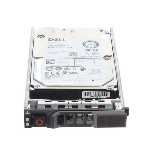 NCT9F 2_5 300GB SAS